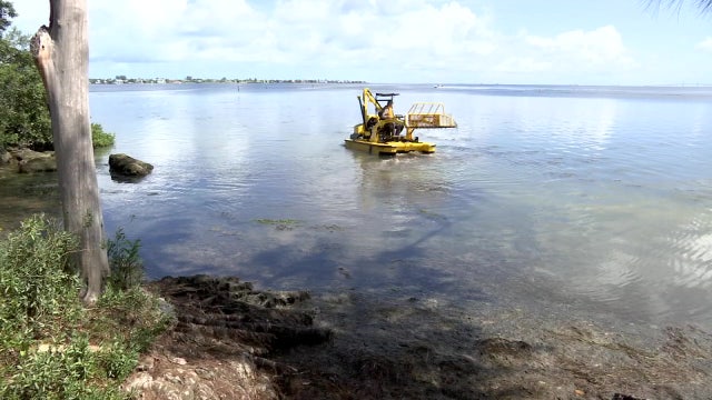 Manatee County introduces 'Weedoo' to help keep waterways clean