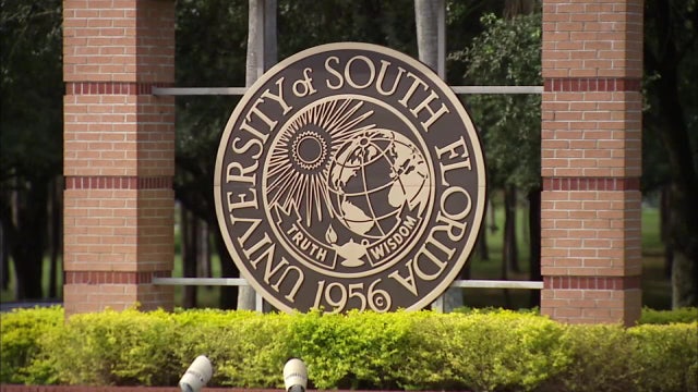 USF doctor resigns after unearthed audio exposes him boasting about skirting anti-DEI laws