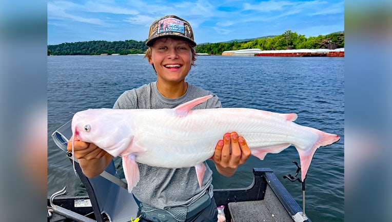 albino cat fish