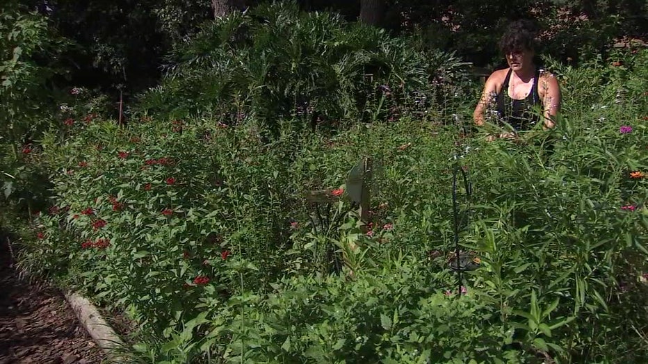 Susan Wool surrounded by milkweed in Lakeland. 