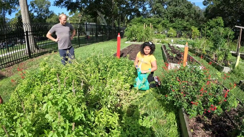 Girl working in the University Area Community Garden