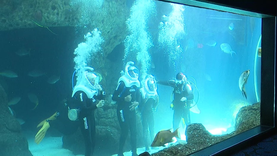 Tampa Mayor Jane Castor and kids at Florida Aquarium Sea Trek.