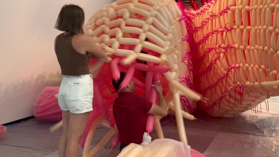 Artist twist balloon for piece in Dark Matter exhibit.