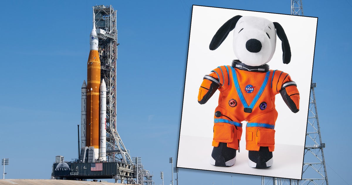 snoopy-zero-g.jpg?ve=1&tl=1