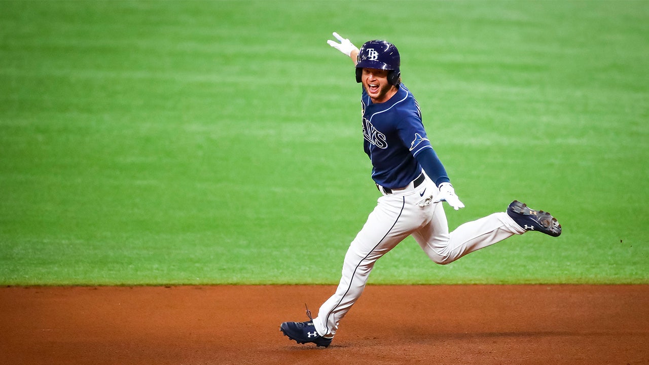 Never forget, baseball is fun': Tampa Bay Rays designate fan