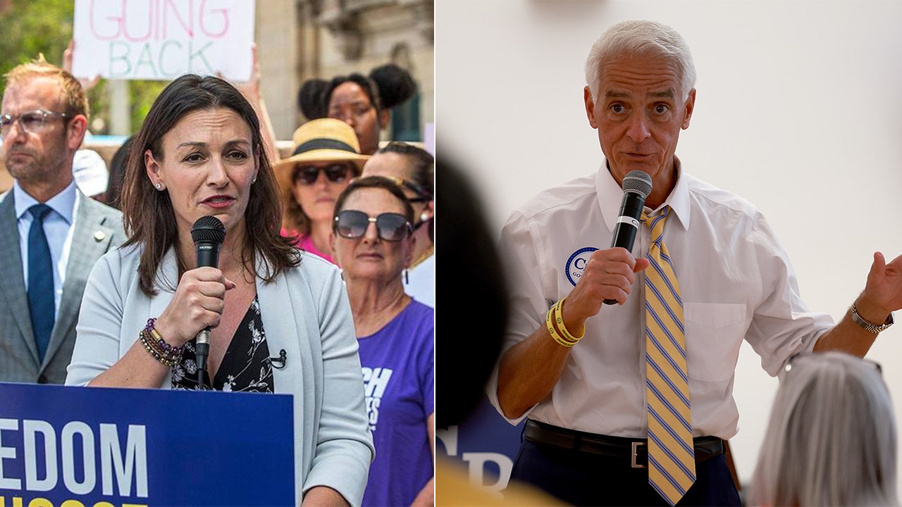 Charlie Crist Or Nikki Fried? Florida Democrats To Decide Who Would Be ...