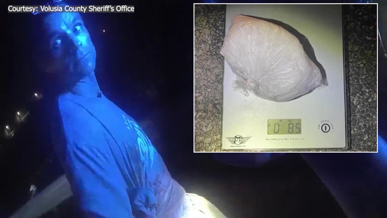 Video Florida Man Drops Half A Pound Of Meth Under Patrol Car During Traffic Stop Flipboard 6231