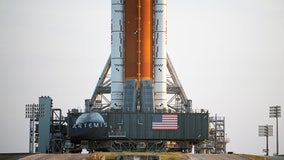 What are all those black and white dots on NASA's Artemis I SLS rocket?