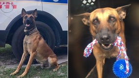 Lake Wales community honors K-9 Max, killed in line of duty