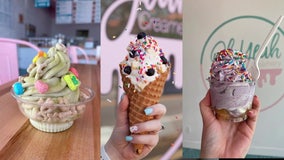 Tampa craft ice cream shop lets you make your own soft serve with over 100 ingredients