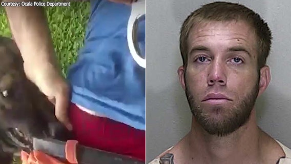 Video: K9 takes a bite out of crime, nabs Florida man recklessly fleeing from officers in stolen car