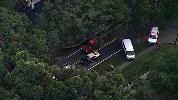 Safety advocacy group to make its case to Clearwater leaders following three deadly crashes