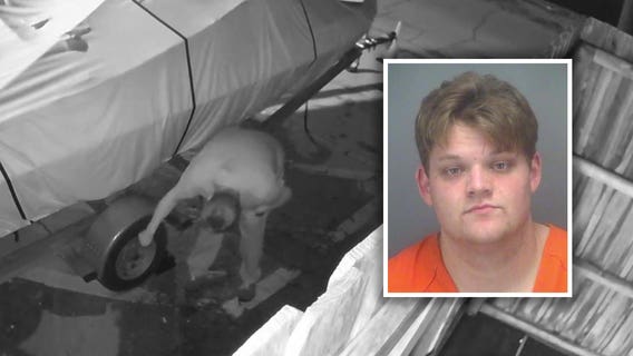 Tampa man behind bars for slashing tires at several Tampa Bay locations, investigators say