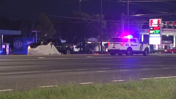 Three pedestrian deaths shines light on need for safer roads in Tampa Bay