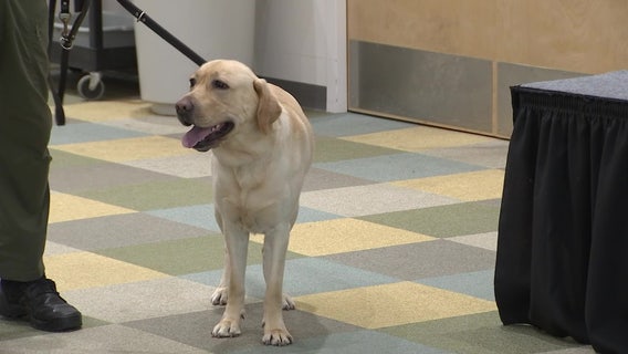 FWC search K-9's return to Southeastern Guide Dogs to show off new skills