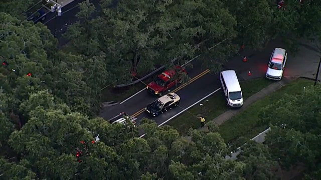 Safety advocacy group to make its case to Clearwater leaders following three deadly crashes