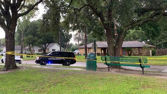 Mom dies following lightning strike near elementary school that also injured her child and teen