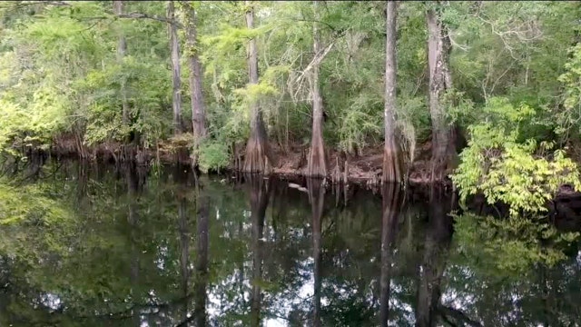 Tampa Bay tech tycoon turns his talents to protecting Florida's wildlife