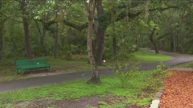 Give back to nature: Volunteer opportunities available with Hillsborough County Conservation Parks