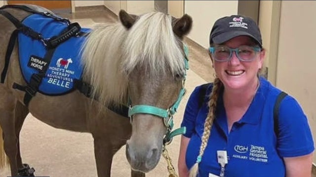 'It really reduces stress': Non-profit uses miniature horse to give back to others
