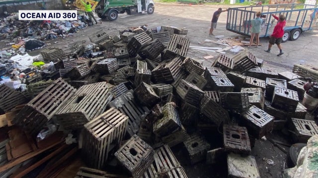 'Ghost gear' kills thousands of fish, marine animals each year