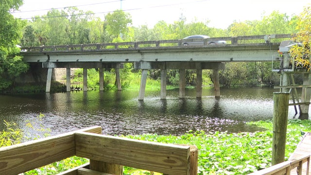 Health officials urge caution after blue-green algae reported on Hillsborough River