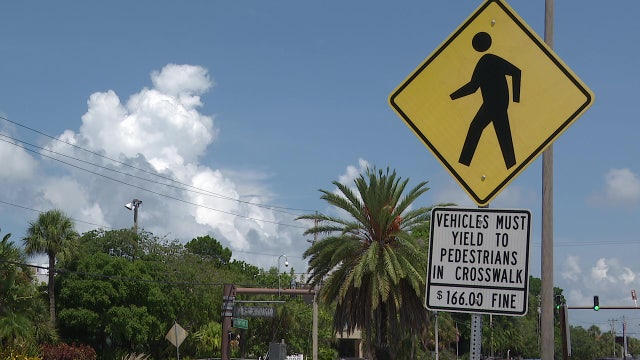 Driver hits father and two kids in Siesta Key crosswalk, FHP says