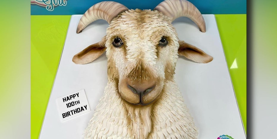 Goat Birthday Cake Ideas Images (Pictures) in 2023 | Creative birthday cakes,  Animal birthday cakes, Cake