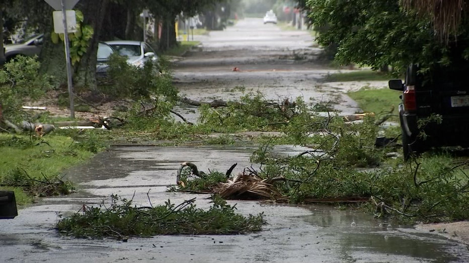 Photo: Storm debris in roadway