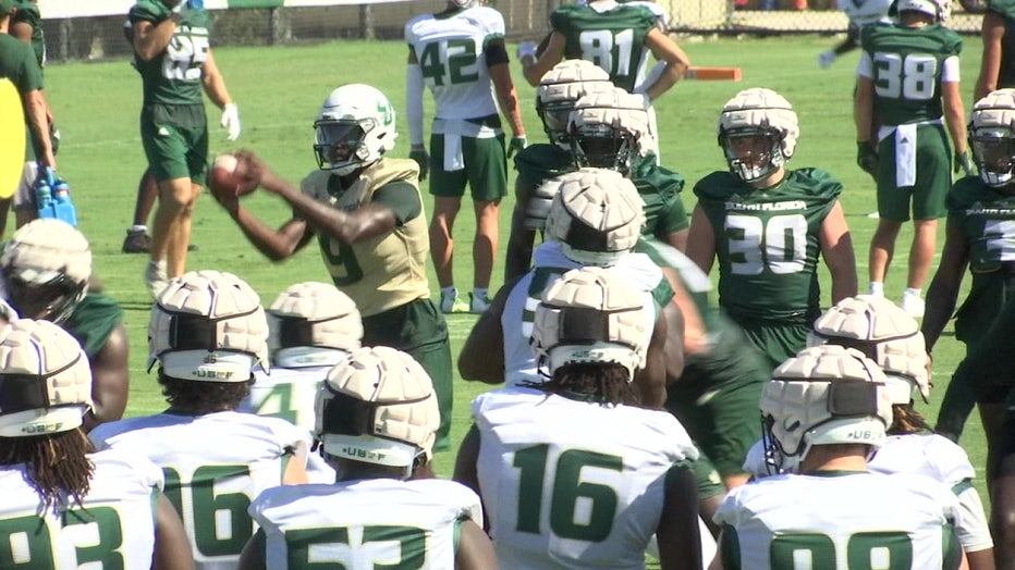 USF Bulls football team on field