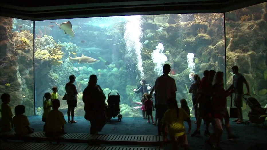 $40 million Florida Aquarium expansion to go towards enhancing experience,  bringing in new animals