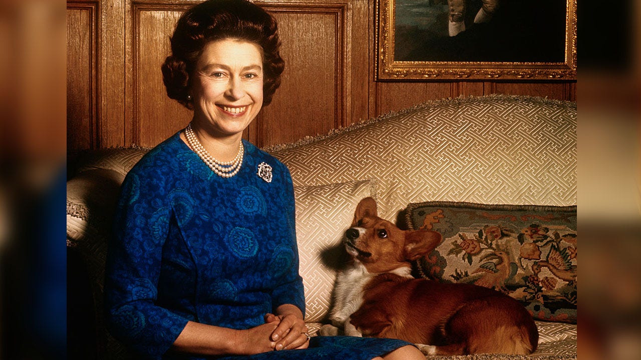 King Charles III's Dogs: The New Royal Dog Breed at Buckingham Palace