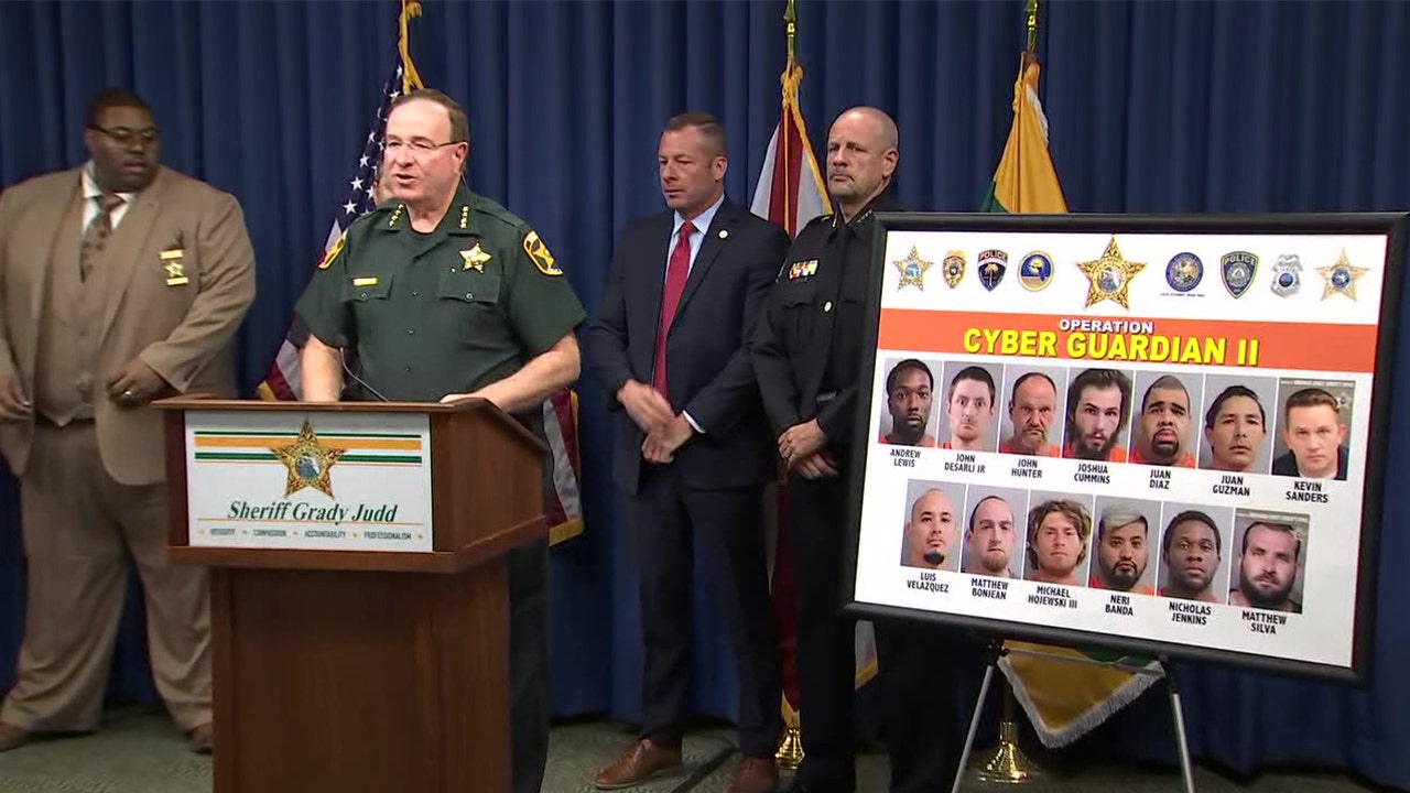Polk sheriff Disney, Publix employees among those accused of wanting to sexually abuse, groom kids photo