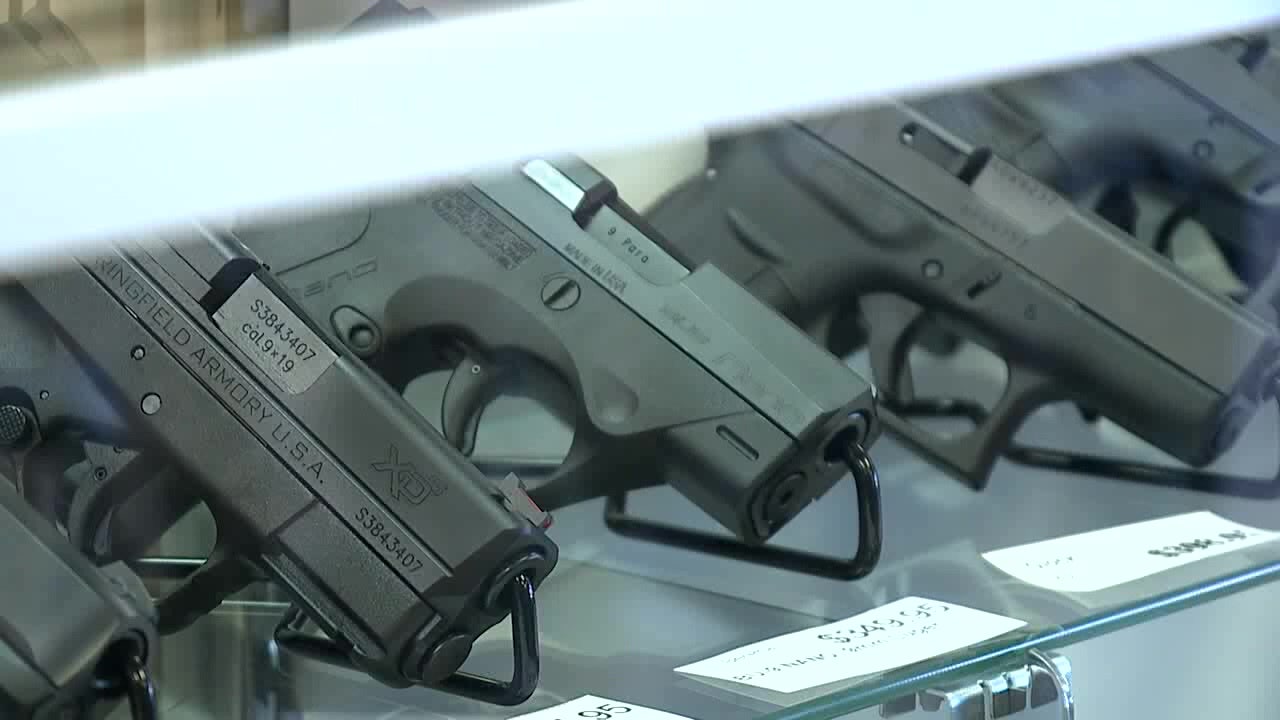 Bill To Lower Gun Buying Age Passes In Florida House | FOX 13 Tampa Bay