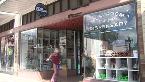 First legal mushroom dispensary in U.S. opens in Ybor City