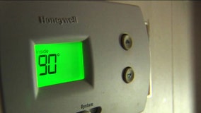 More than 4,000 Lakeland Electric customers are behind on their bill, company reports