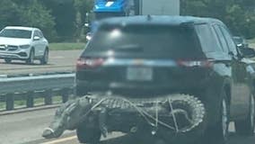 Real or fake? Photo of alligator being hauled behind SUV on Florida highway raises questions