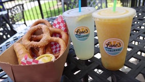 Lane's Lemonade offers delicious relief in Florida heat