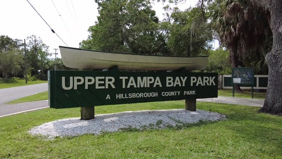 Explore Upper Tampa Bay Conservation Park by foot or water