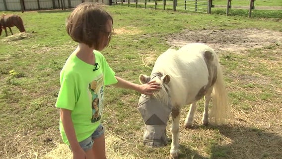 Bay Area 10-year-old named ASPCA ‘Kid of the Year’