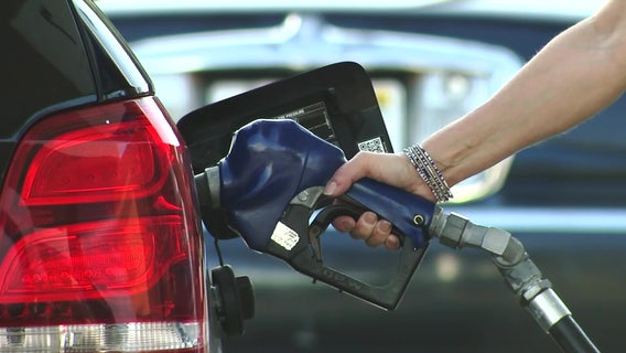 Floridians, don't panic about gas supplies — take what you need, experts say