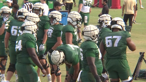 USF Bulls facing long odds against the Gators in the Swamp