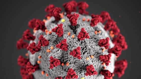 President Biden says pandemic is over while public health experts say is still infecting people