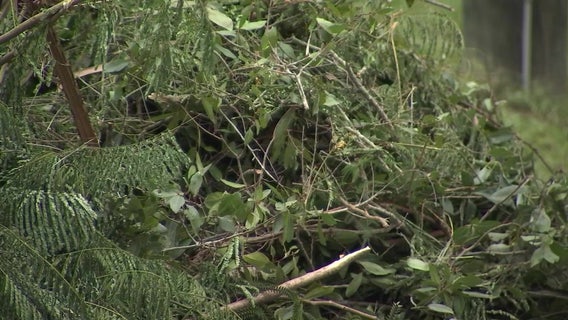 Curbside debris pickup after Hurricane Ian: Dates, locations and what's accepted