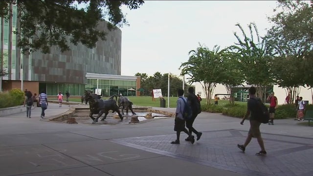 USF launches new app to increase access to mental health services