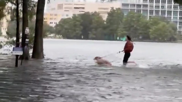 'Only in Florida': Woman and dog run through floodwaters