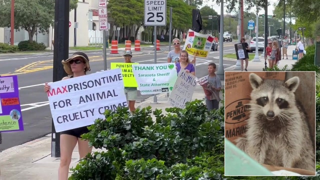 ‘It’s a disgrace’: Animal advocates want stiff sentence for father, daughter accused of burning raccoon alive