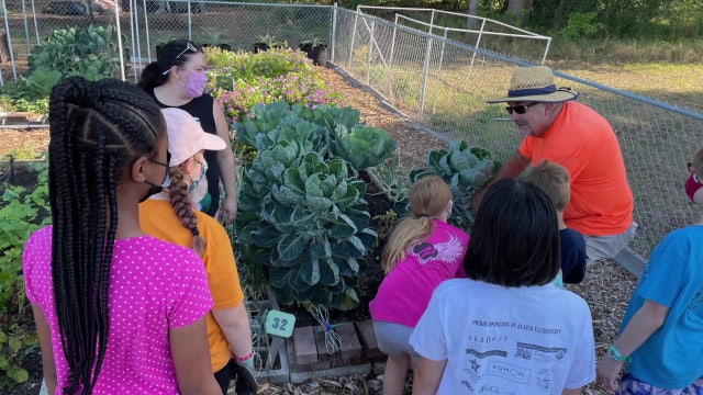 Seeds of Faith Community Garden helps provide fresh produce for families in need