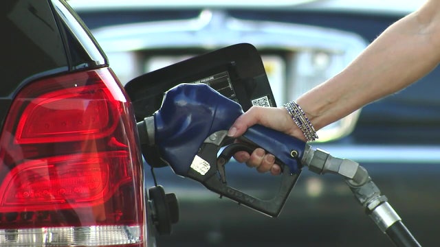 Floridians, don't panic about gas supplies — take what you need, experts say