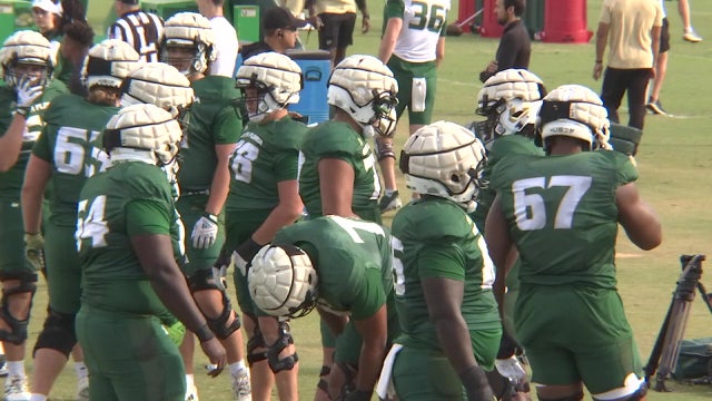 USF Bulls facing long odds against the Gators in the Swamp